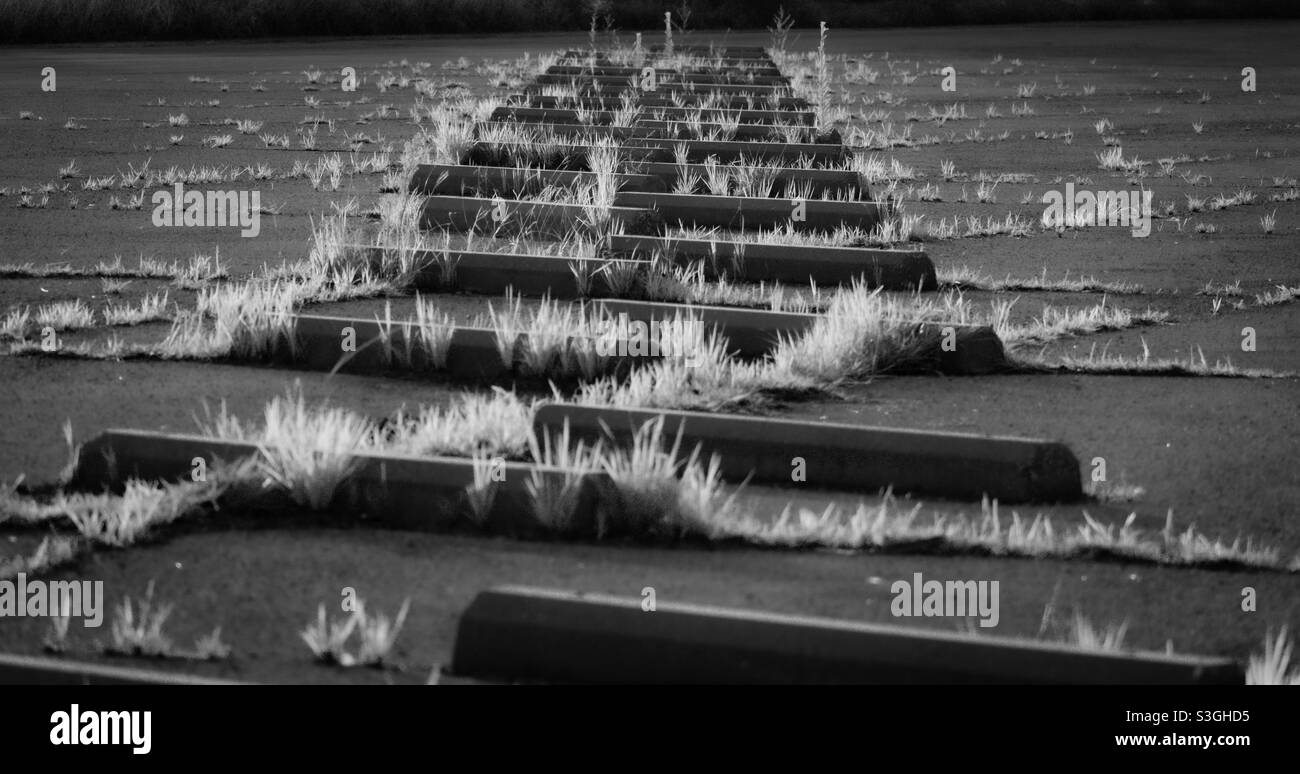 Black and white infrared of grass growing up and above parking bumps lined up in parking lot. Stock Photo