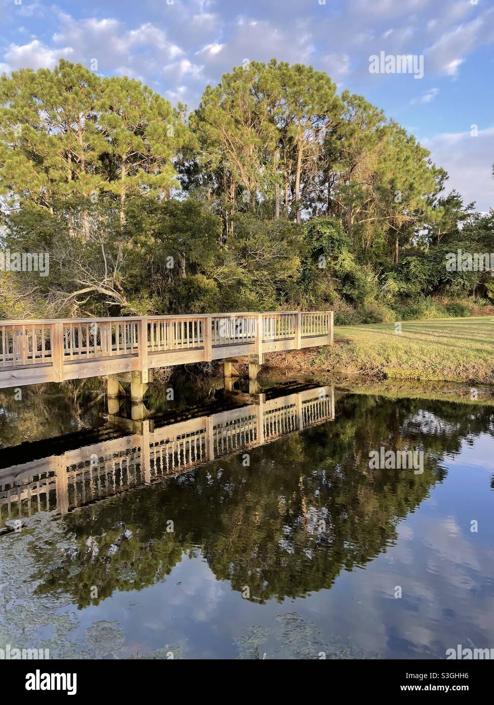 Evening sun shining on a bridge with reflections onto water - Smartphone Captured Stock Image