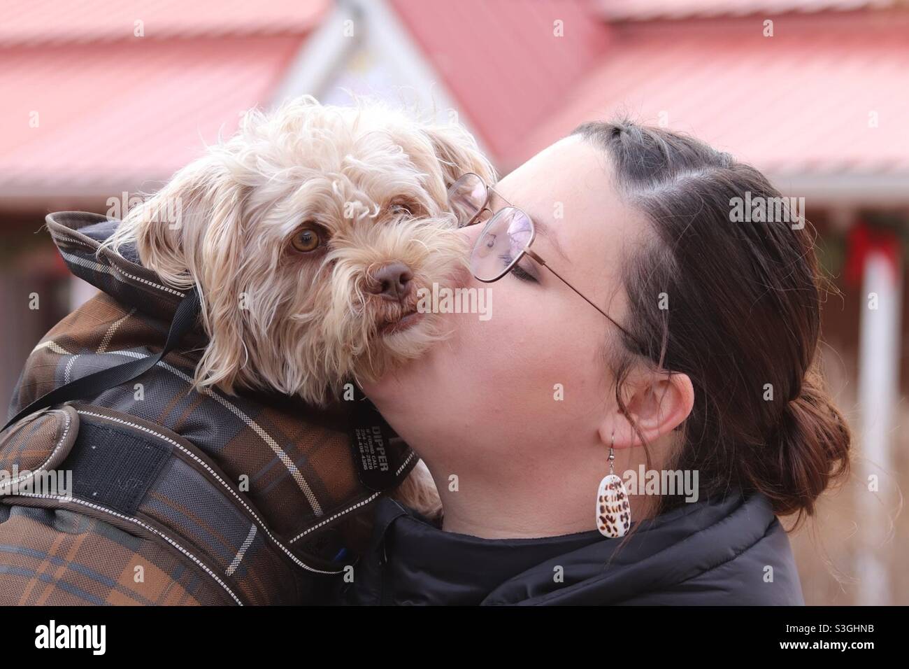 Girl kissing fluffy dog - Smartphone Captured Stock Image