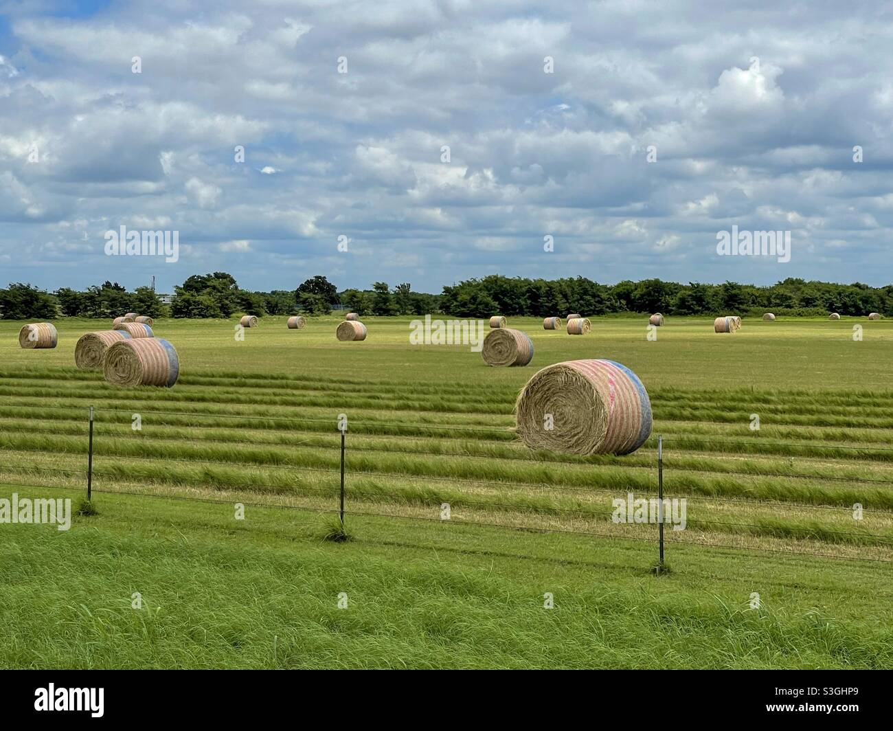 Hay bales in a green field hi-res stock photography and images - Alamy