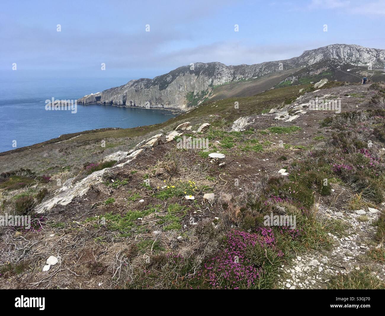 Coastal paths hi-res stock photography and images - Alamy
