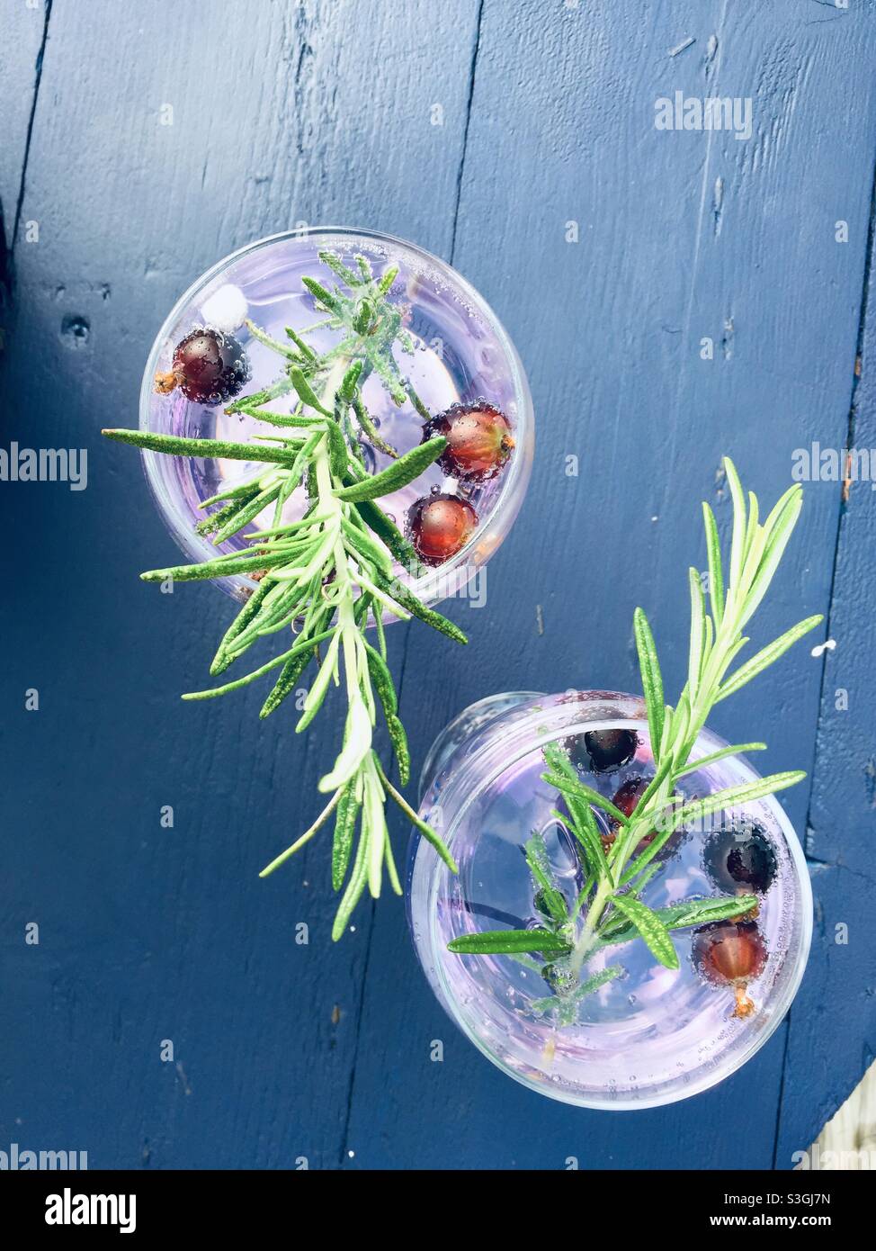 BlackBerry gin variant shot 2 - Smartphone Captured Stock Image