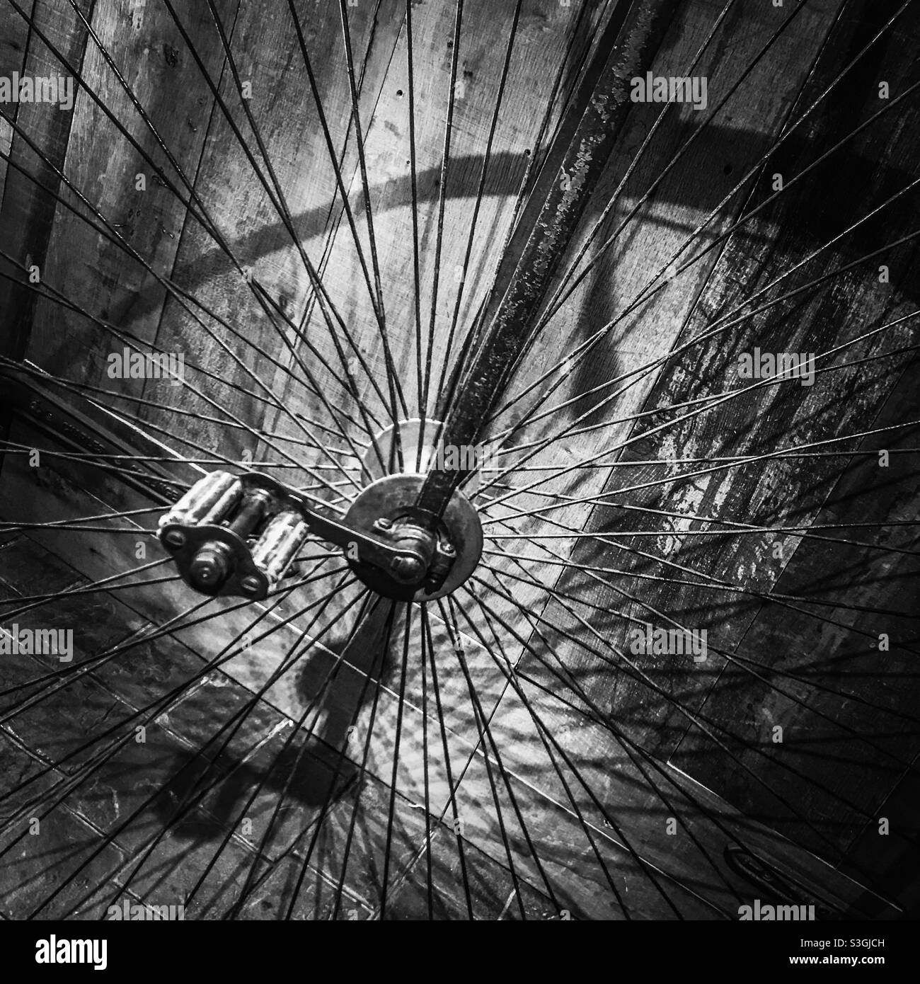 Penny farthing large bicycle wheel - Smartphone Captured Stock Image