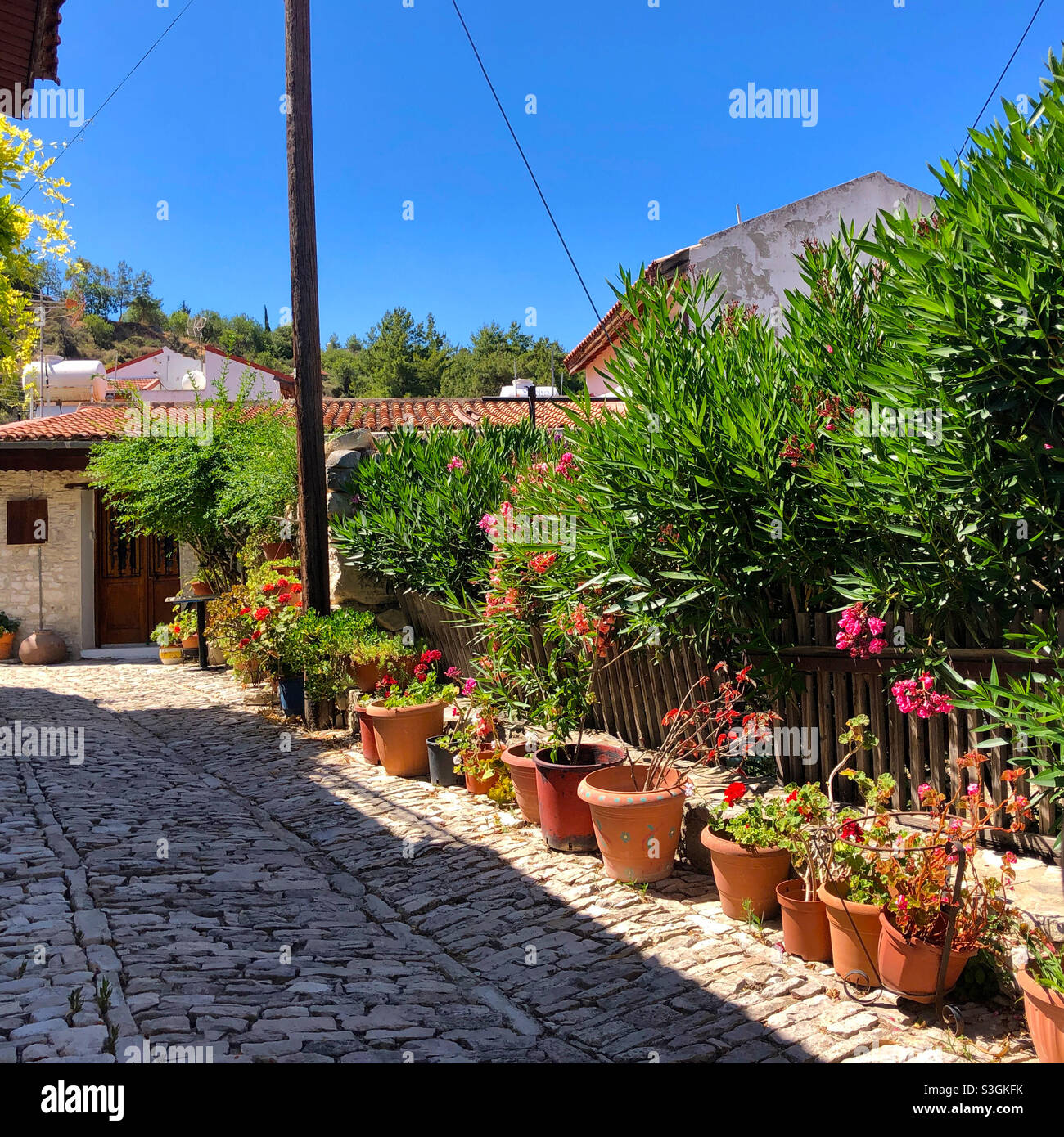A village street in Lania (Laneia) in the Troodos Mountains in Cyprus, lined with flower pots. Stock Photo