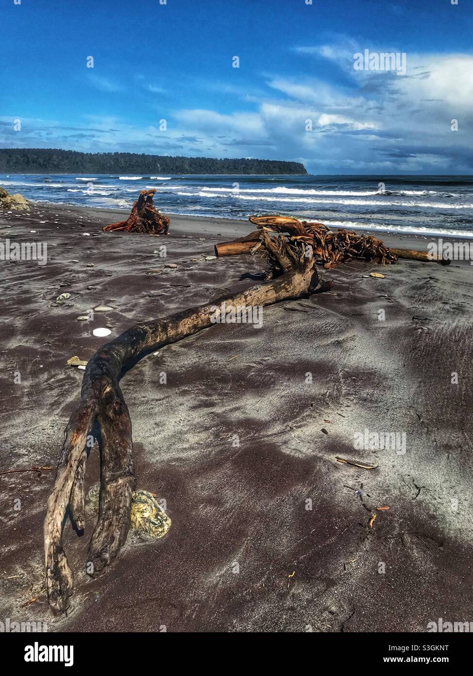 Plant debris on the beach, Bruce Bay, South Island, New Zealand - Smartphone Captured Stock Image