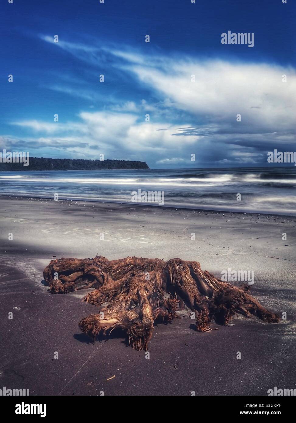 Driftwood on the beach, Bruce Bay, South Island, New Zealand - Smartphone Captured Stock Image