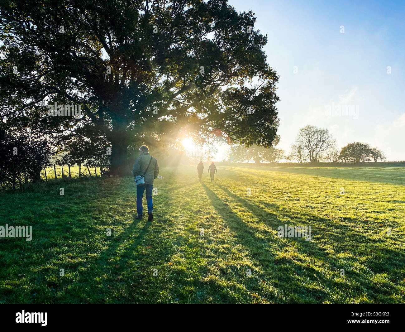 Autumn sunrise morning dog walk - Smartphone Captured Stock Image