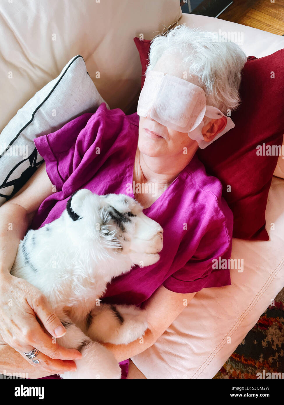 Beautiful female pensioner napping with a mask and her beloved stuffed tiger, USA, 2025 - Smartphone Captured Stock Image