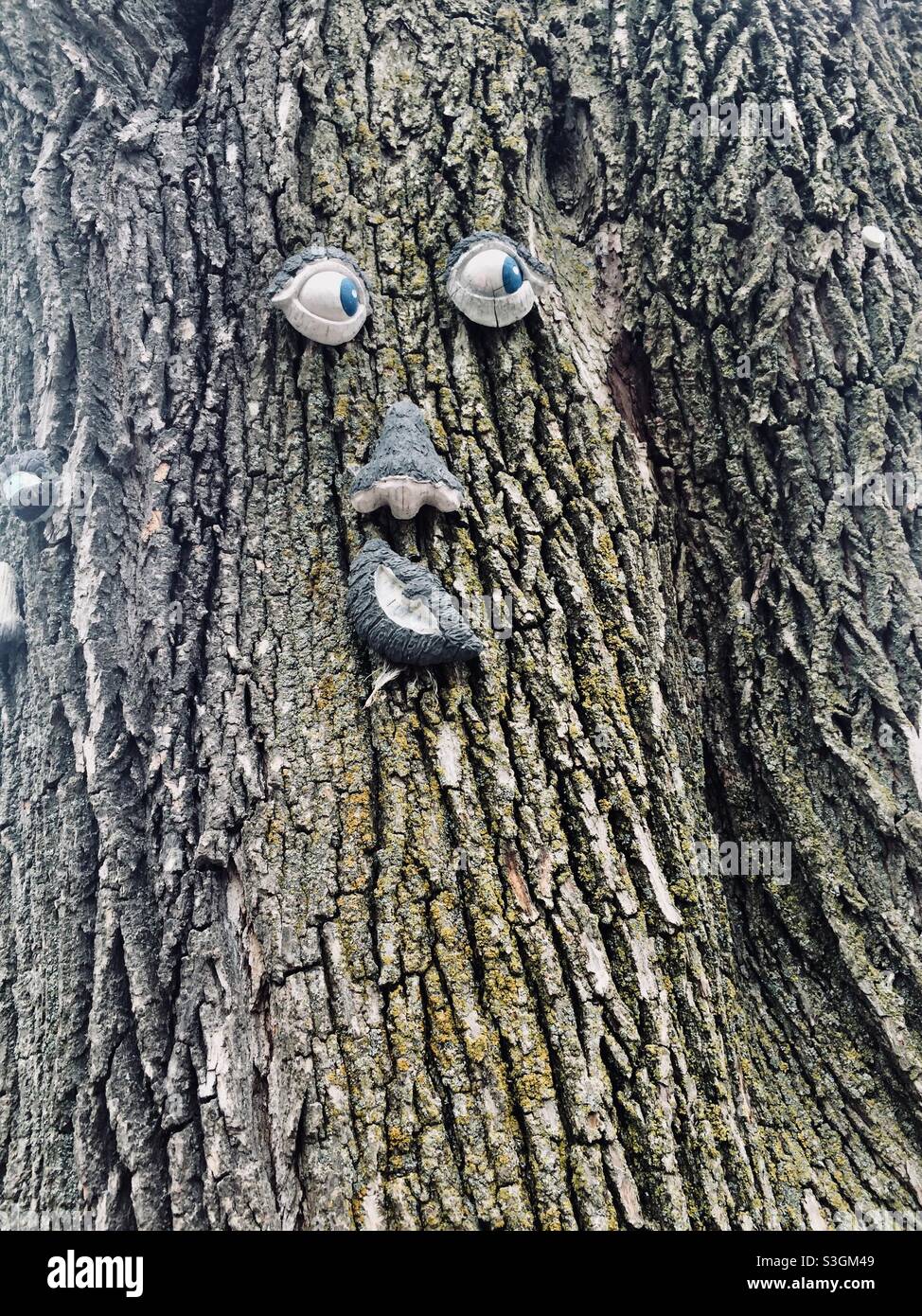 Funny face design on a tree. This photo was shot in April 2020 near Lakeshore West in Toronto Stock Photo