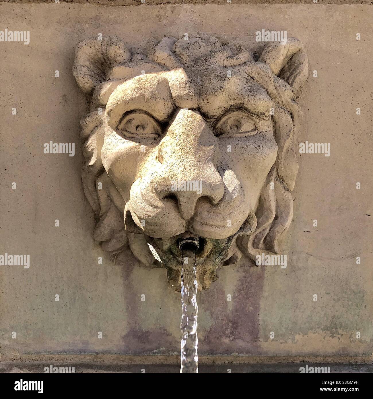 Lion’s head water fountain. Stock Photo