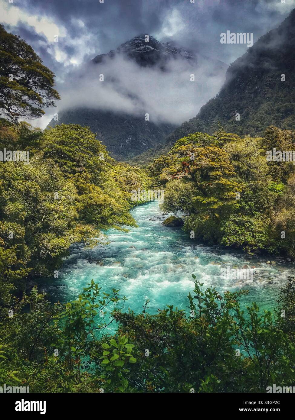 Stream in Fiordland National Park, South Island, New Zealand - Smartphone Captured Stock Image Stream in Fiordland National Park, South Island, New Zealand - Smartphone Captured Stock Image