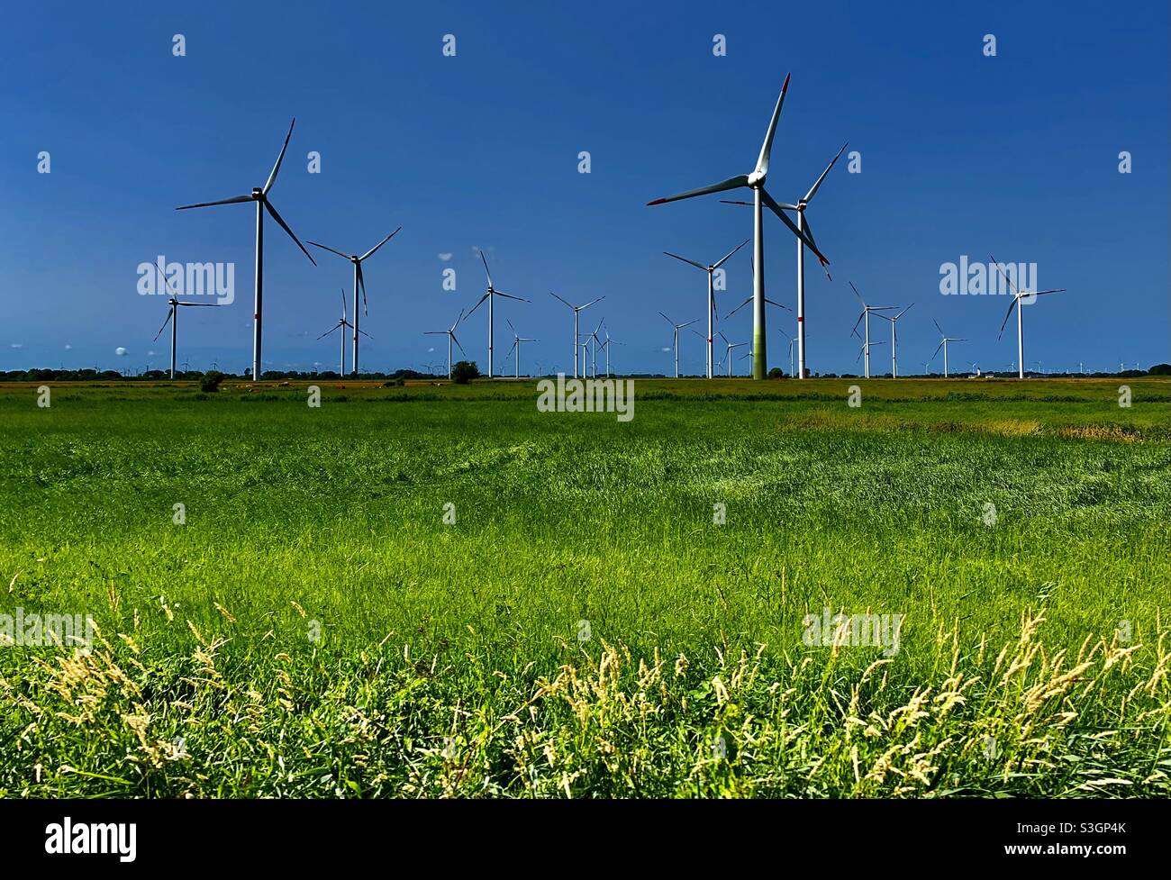 Wind park - technology meets tradition - near Büsum Germany Stock Photo