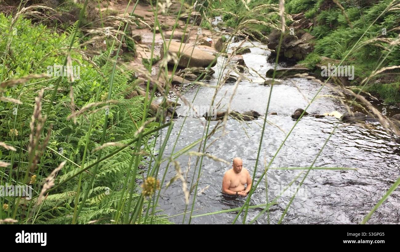 Wild swimmer - Smartphone Captured Stock Image