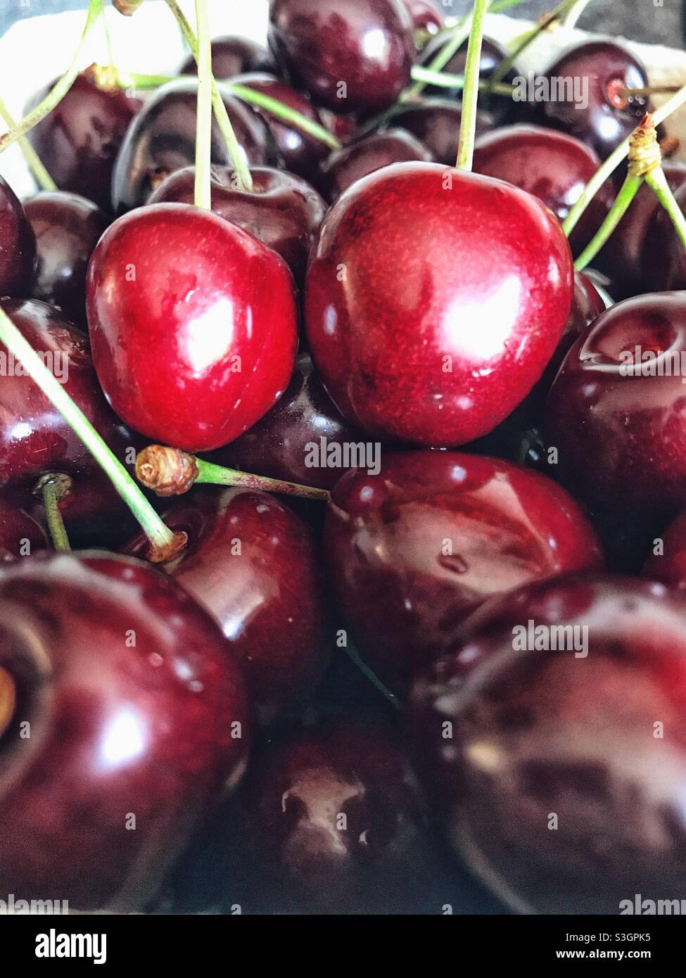 Fresh Local English Cherries Stock Photo Alamy
