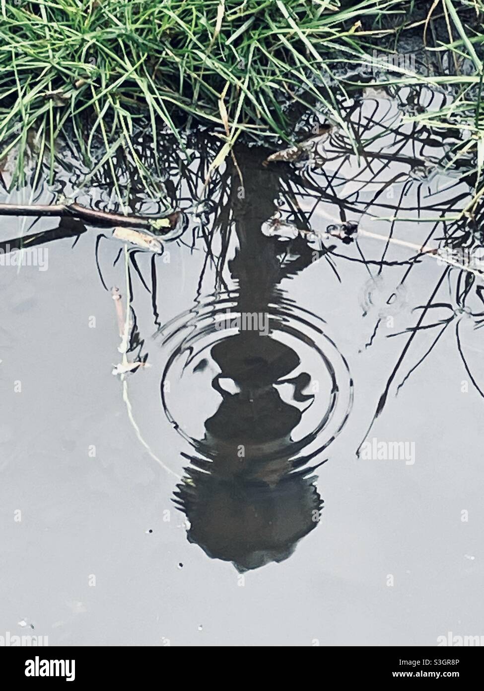Memories, Dreams, Reflections Stock Photo Alamy