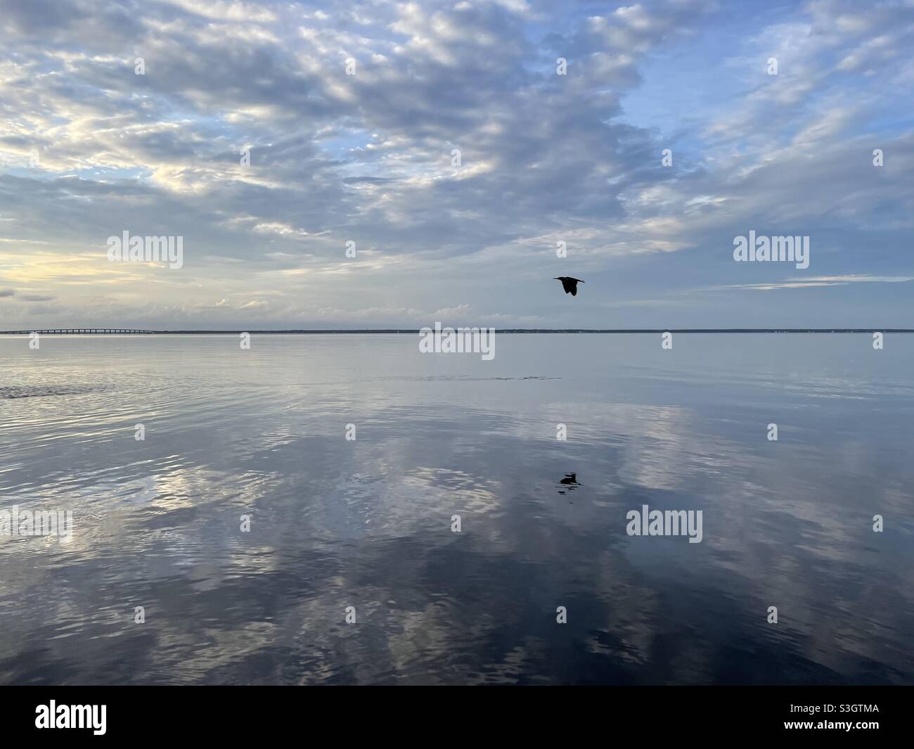 Soft evening sunset clouds with bird flying silhouette over still bay water - Smartphone Captured Stock Image