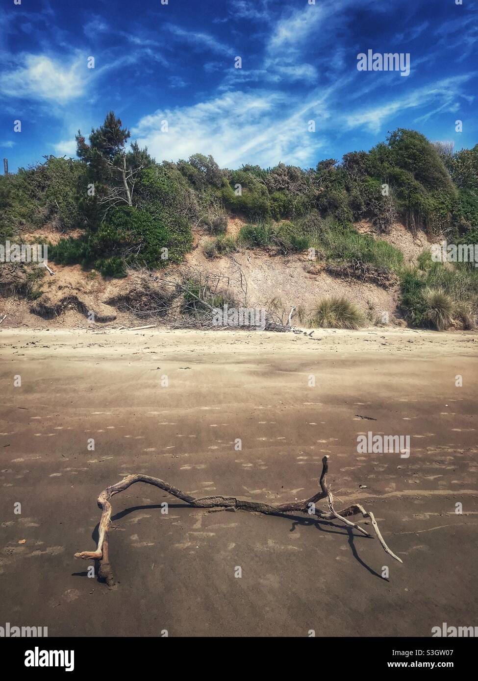 Driftwood washed up on the beach on Moeraki Boulders Beach, South Island, New Zealand - Smartphone Captured Stock Image