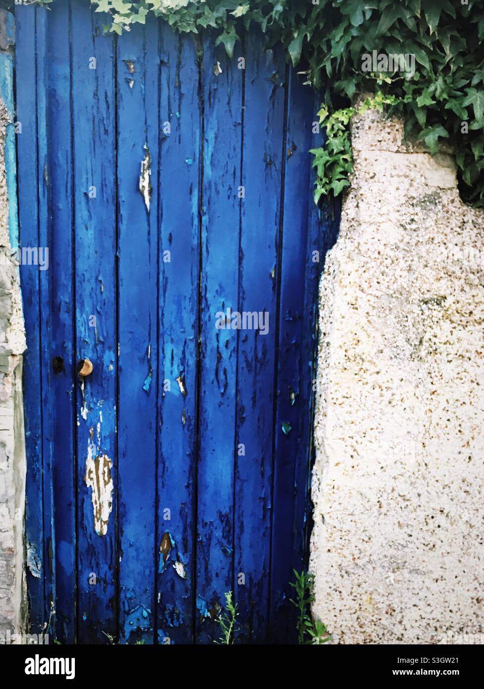 Blue wooden door with peeling paint, set into a wall with plants growing over the top Stock Photo