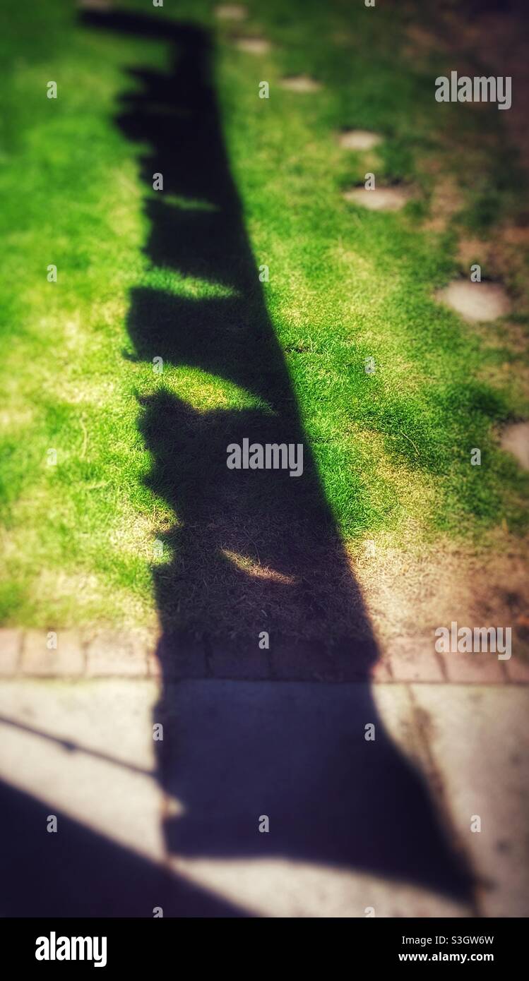 Shadow of a washing line over green grass and concrete paving, with stepping stones to the side. - Smartphone Captured Stock Image