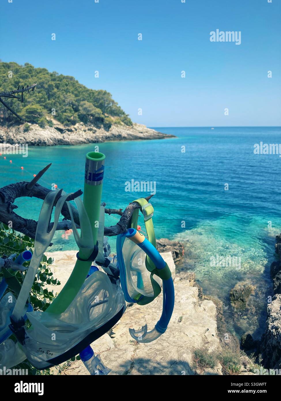 Diving Goggles and Snorkles hanging on a pine Tree Branch on the Italian Tremiti Islands Stock Photo