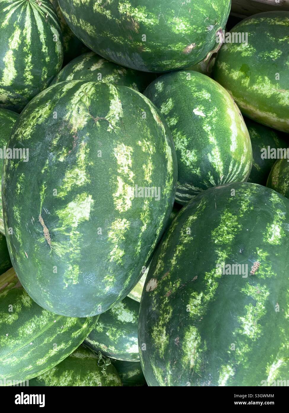 A bunch of Fresh Water melons on a Market in Southern Italy - Smartphone Captured Stock Image