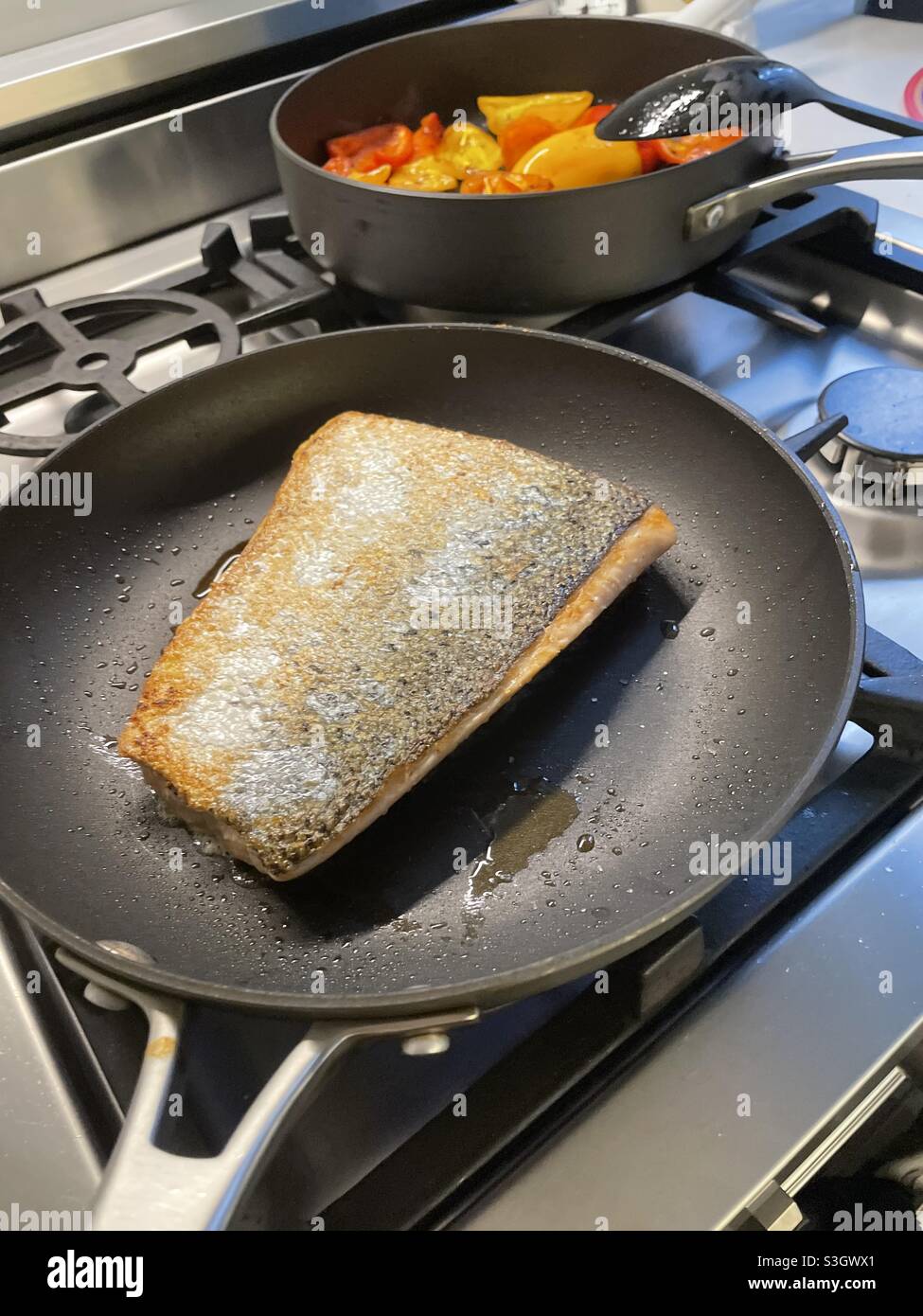 Salmon fillet searing on a residential stove top, USA Stock Photo Alamy