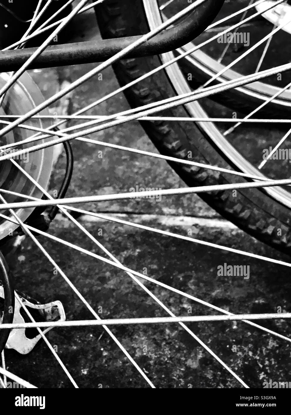 Spokes of bicycle wheels Stock Photo Alamy