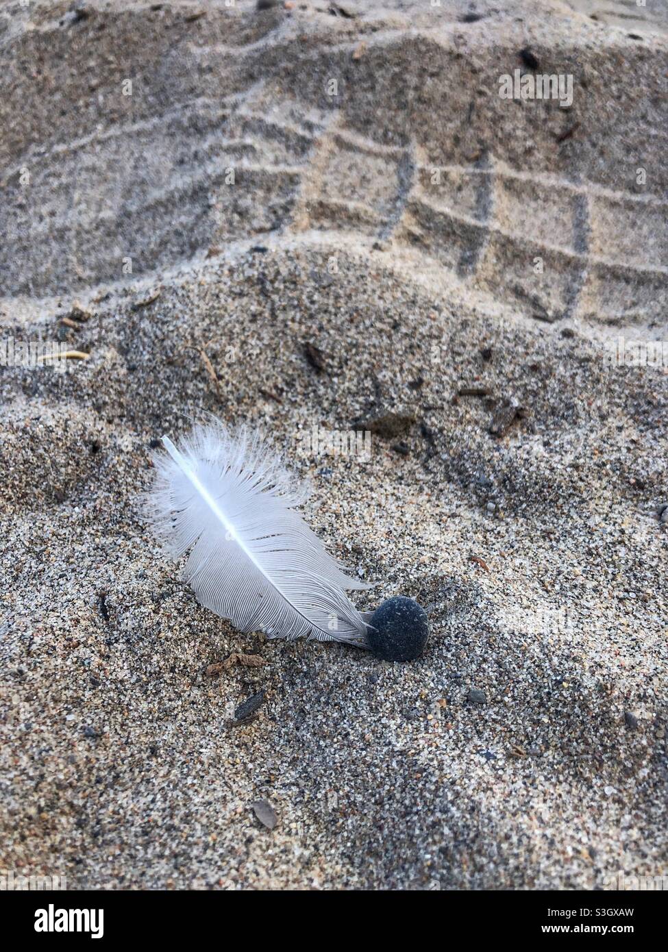 Close up of a small white feather in the sand. - Smartphone Captured Stock Image