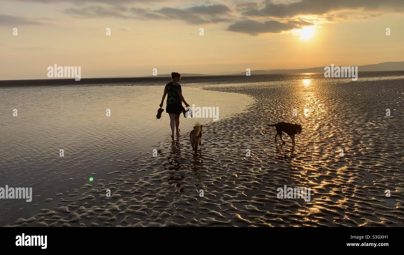 Woman silhouetted walking with her dogs on beach at sunset Stock Photo