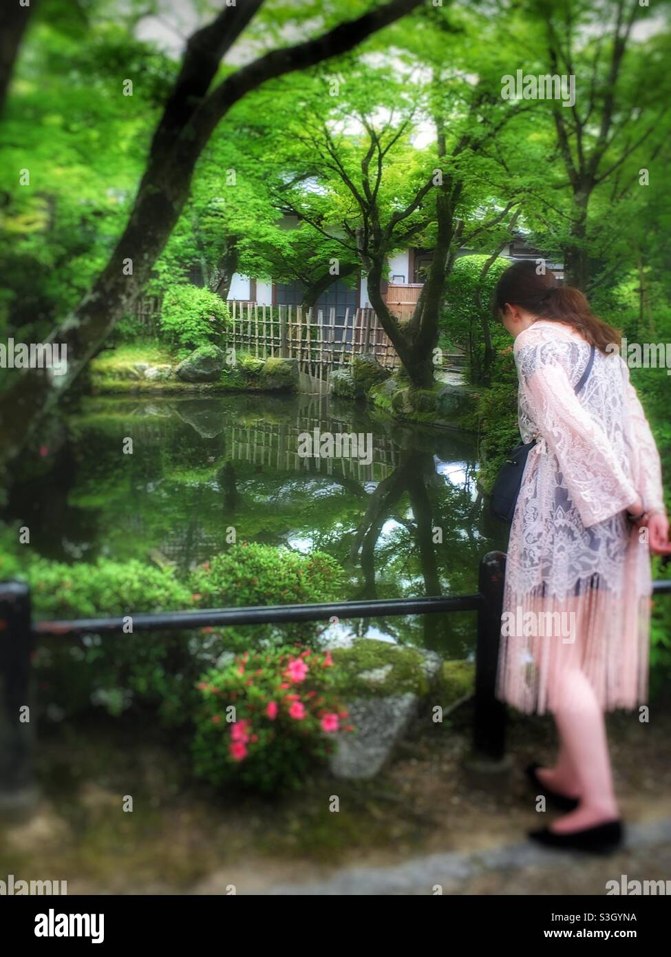 Girl looking in lake in gardens of Kiyomizu-dera Temple, Kyoto, Japan, with bridge, trees and small white building in background. Stock Photo