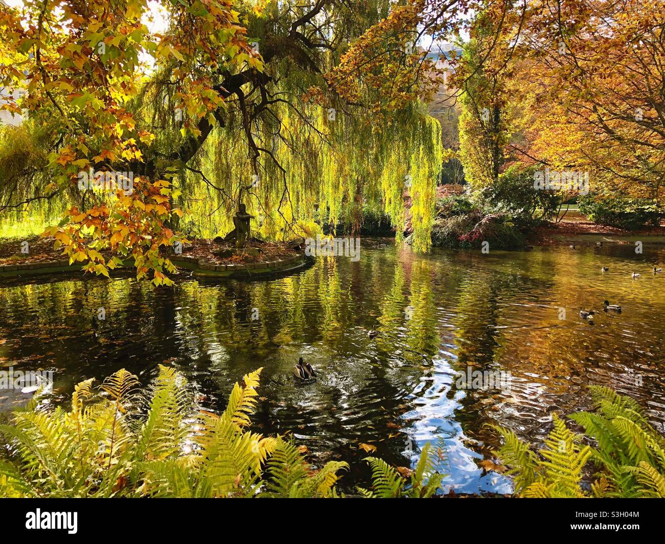Pond with autumn trees in a city public Garden in Karlovy Vary, Czech Republic. - Smartphone Captured Stock Image
