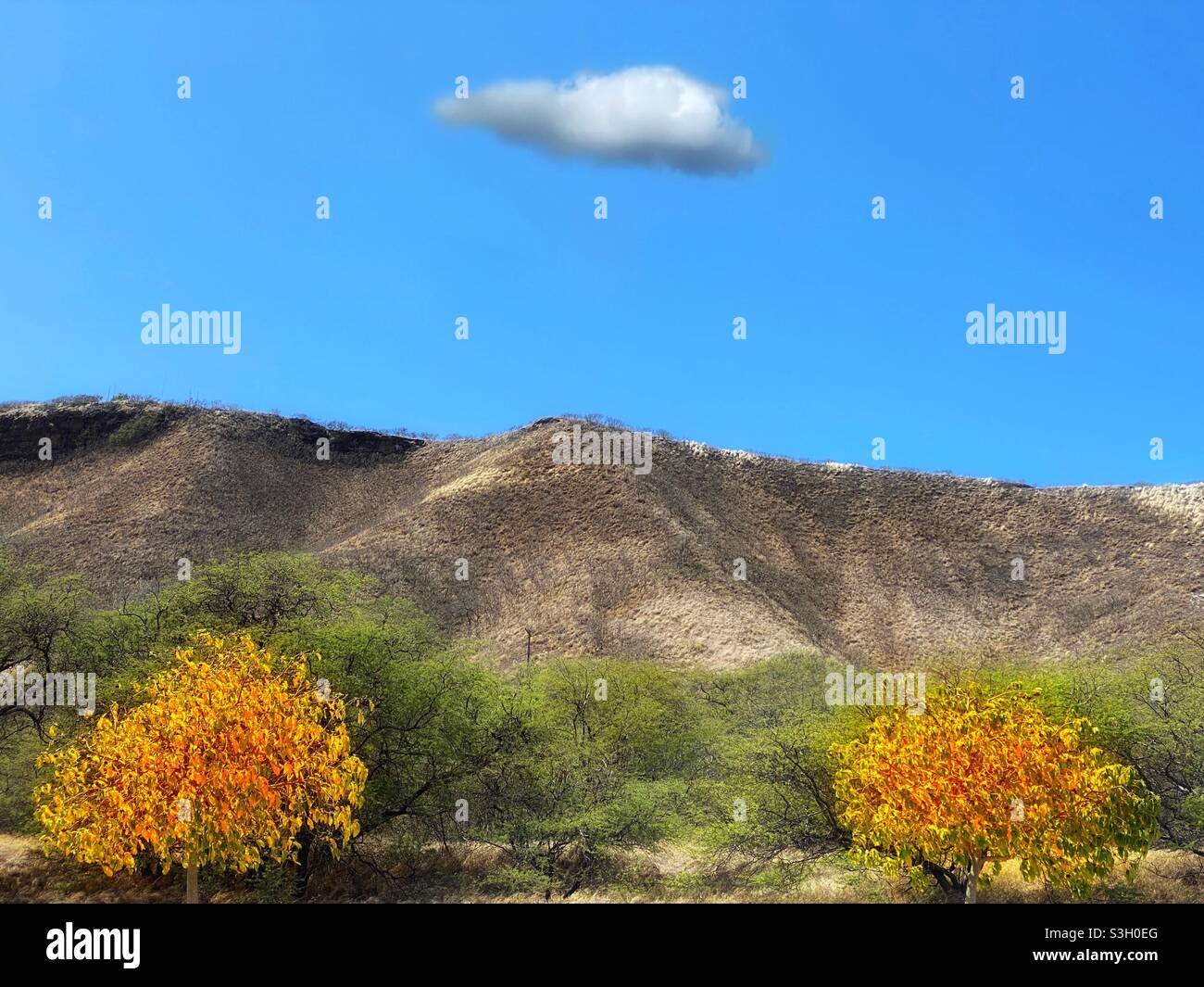 Diamond Head mountain landscape - Smartphone Captured Stock Image