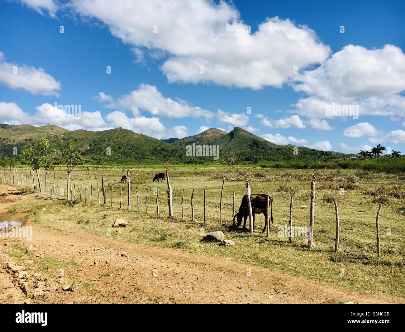 Vinales cuba countryside outdoor traveling Stock Photo