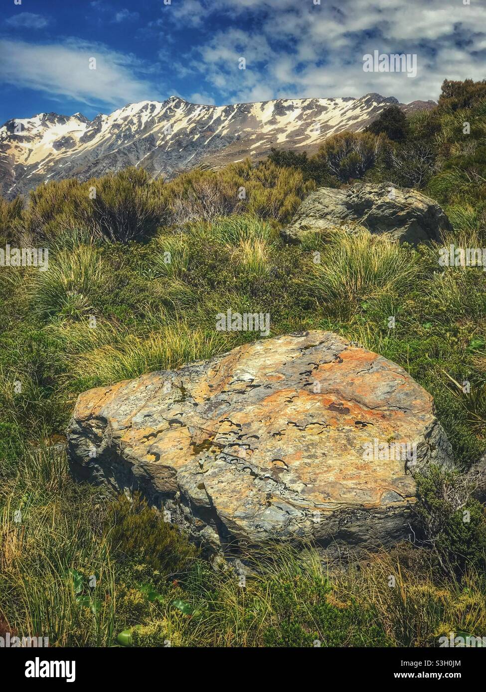 Closeup of a rock beside the Hooker Valley Track in the Aoraki Mount Cook National Park Stock Photo