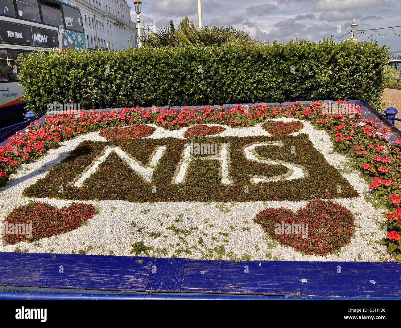 Eastbourne NHS flower display Stock Photo Alamy