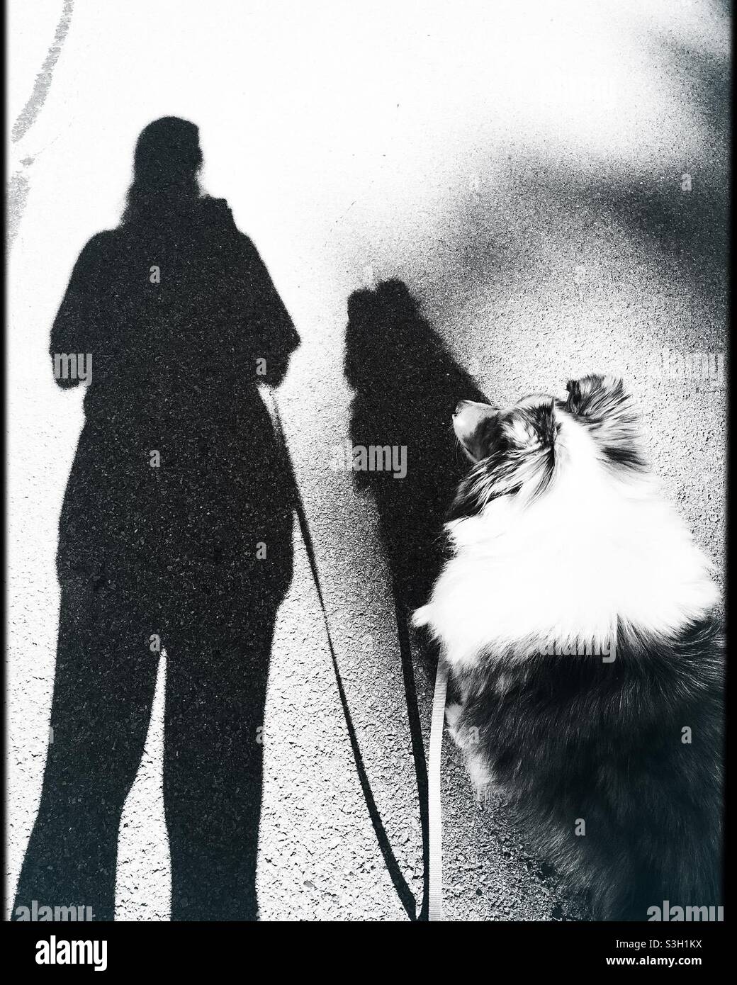See you on the other side - Smartphone Captured Stock Image