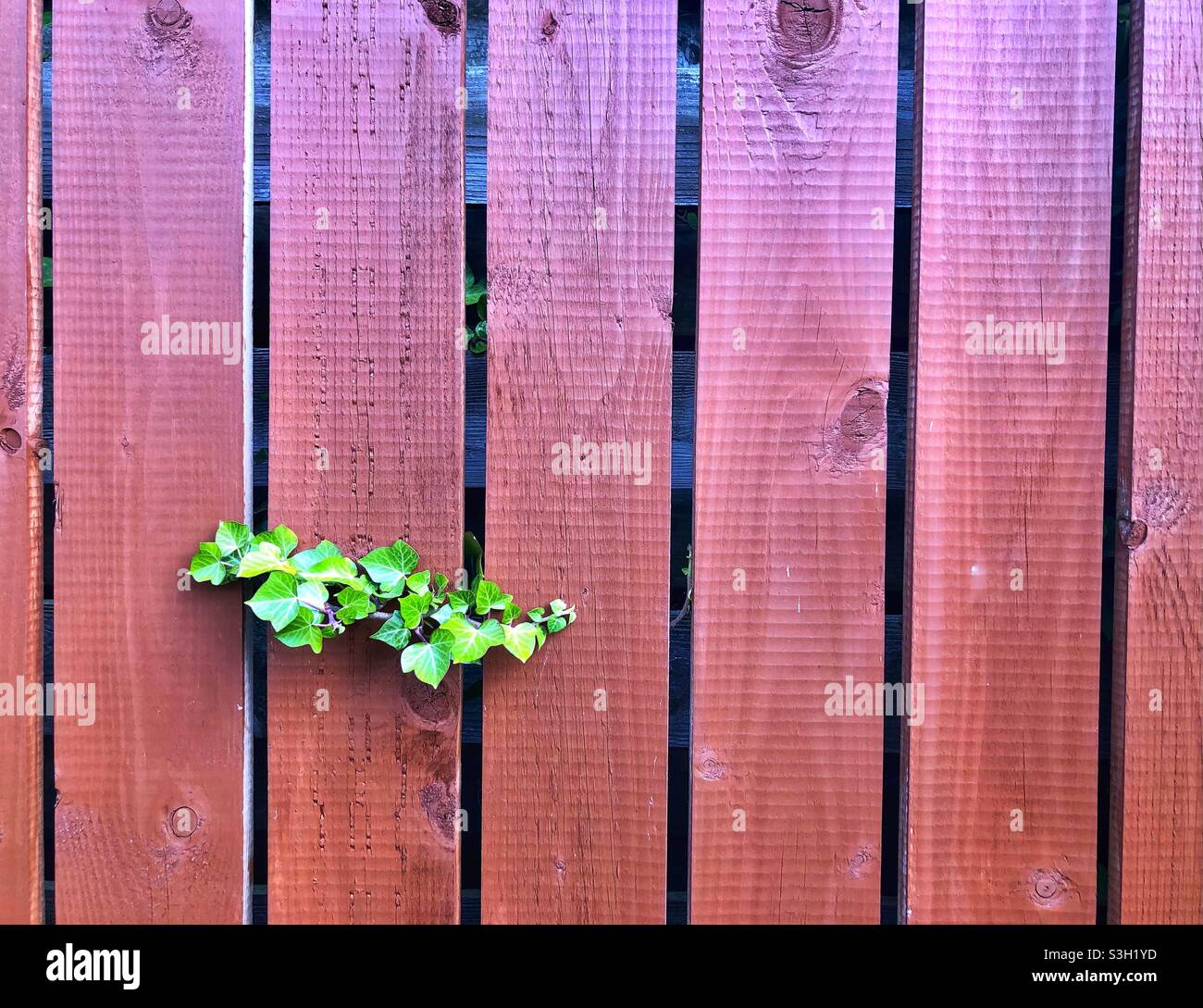 Wooden fence with gaps hi-res stock photography and images - Alamy