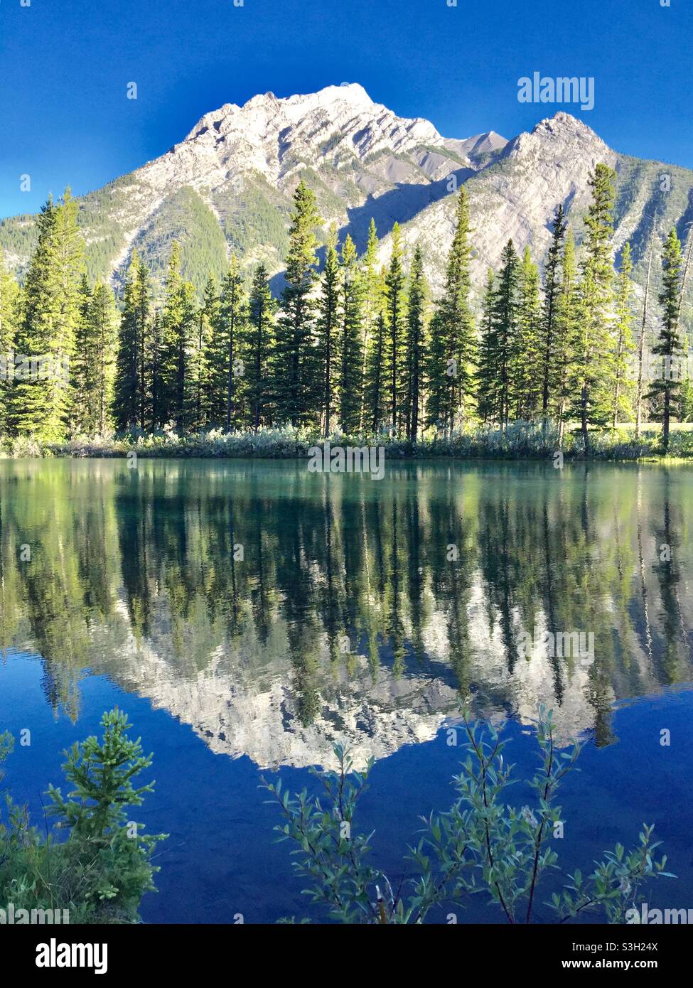 Lower Kananaskis Lake, Peter Lougheed Provincial Park, Alberta, Canada, evergreen, reflections. - Smartphone Captured Stock Image