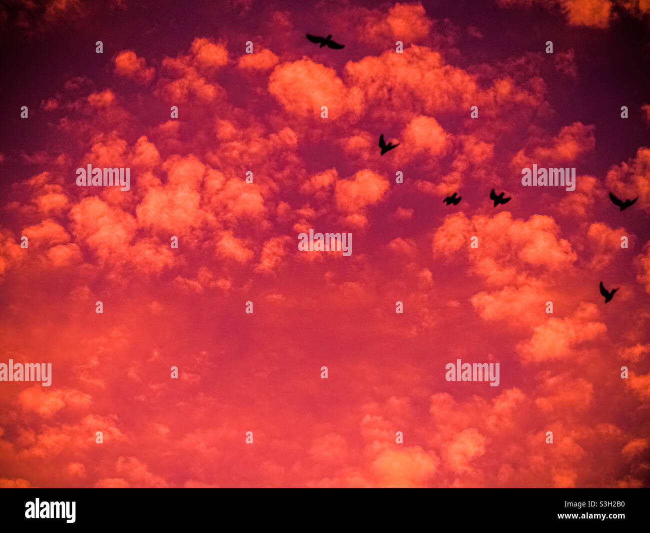 Cloud cover at dawn as the birds are waking up before sunrise Stock Photo Alamy