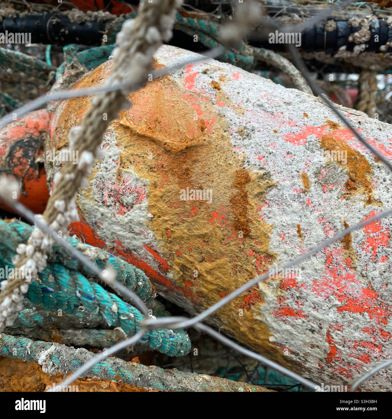 Fishing gear in crab pot Stock Photo