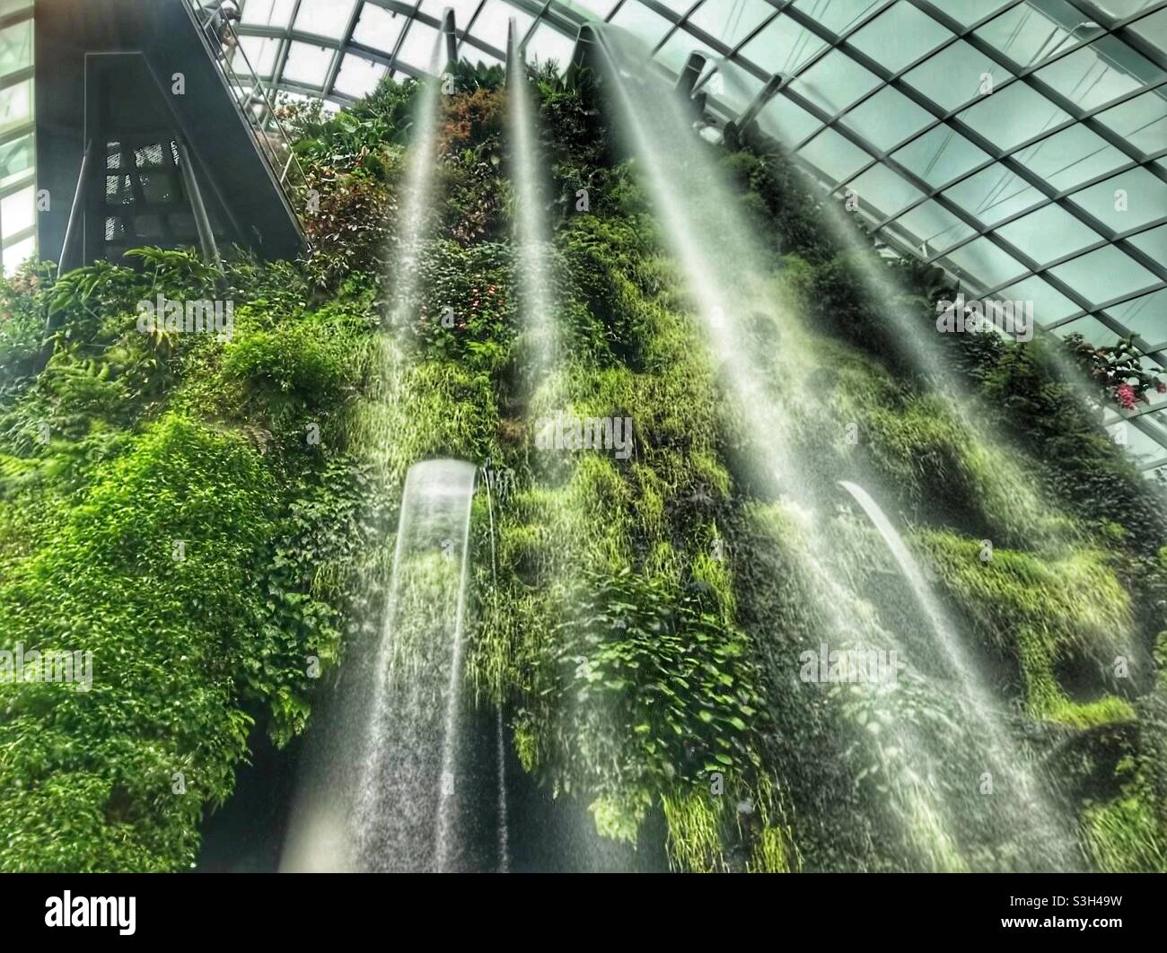 Indoor waterfalls at Gardens by the Bay in Singapore Stock Photo Alamy