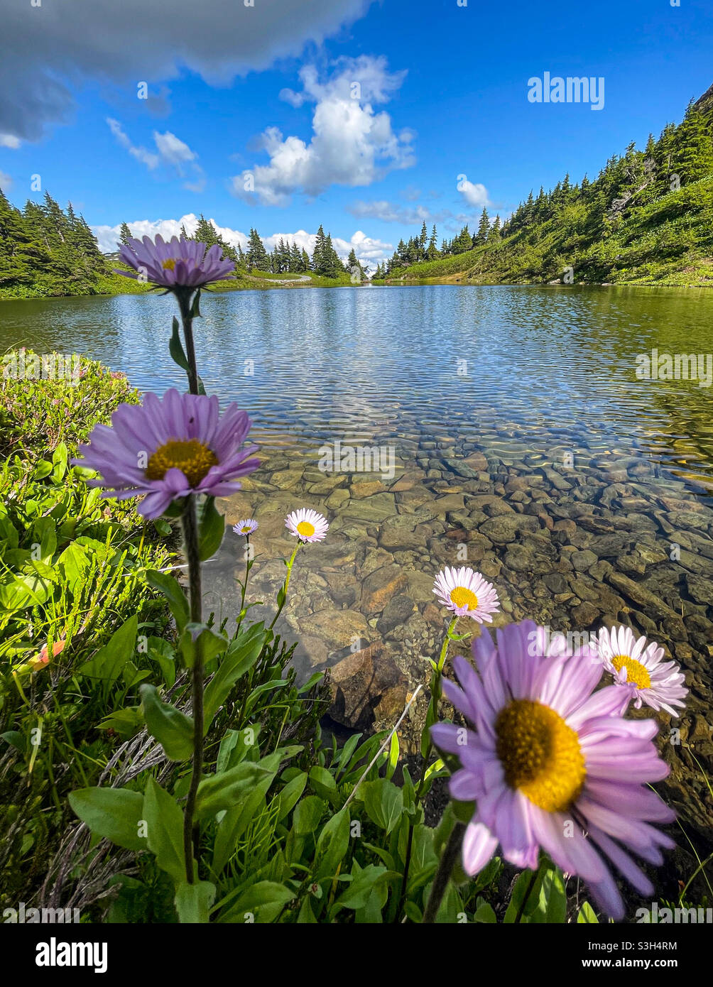 Top of Eaglecrest, Juneau, Alaska Stock Photo Alamy