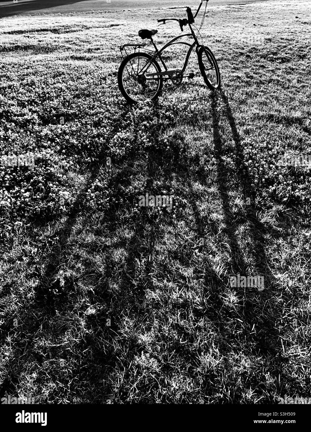 Morning bike ride Stock Photo Alamy