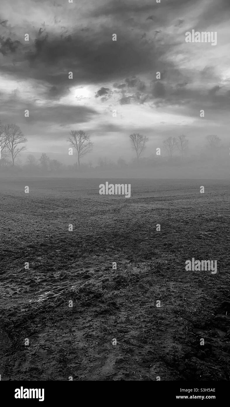 foggy landscape, agricultural field in Germany in early spring, black and white Stock Photo