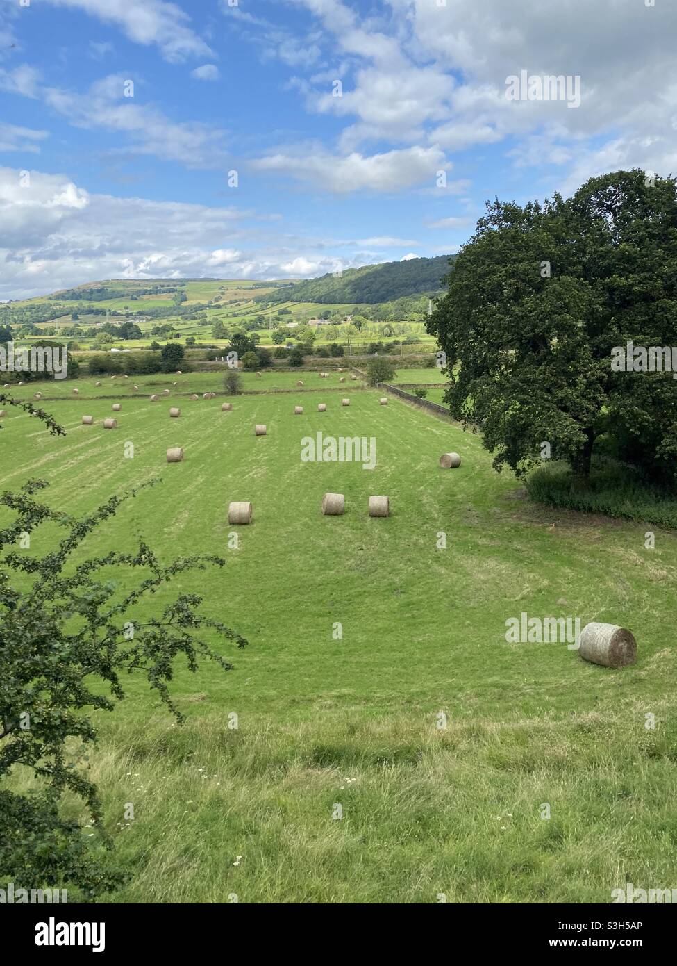 The Aire valley from Utley Stock Photo Alamy