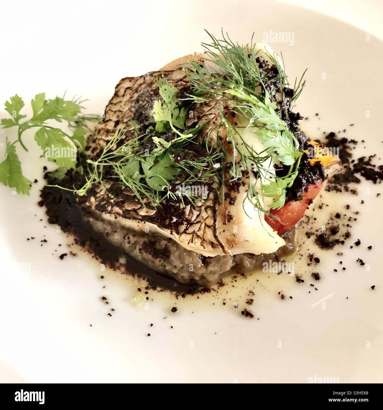 Roasted sea bream on eggplant paste with herbs Stock Photo