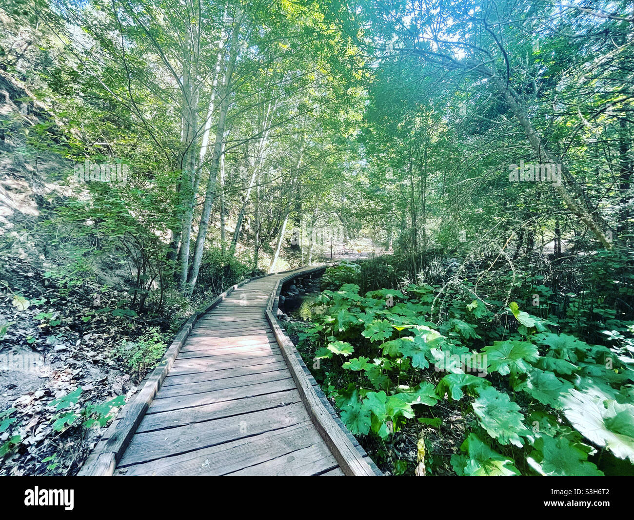 Lithia Park, Ashland Or Stock Photo Alamy