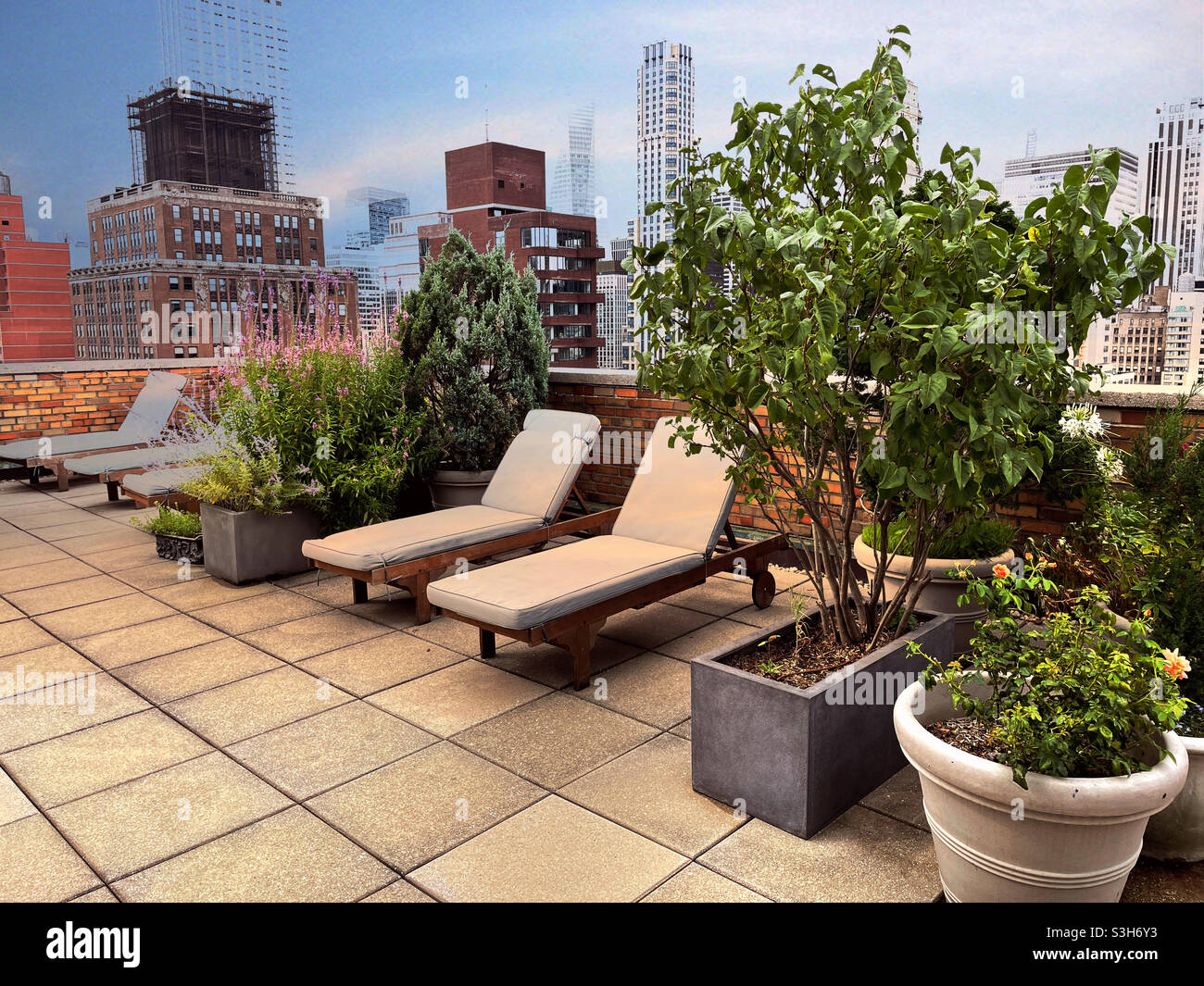 Landscaped roof deck in a luxury apartment building in Murray Hill, NYC