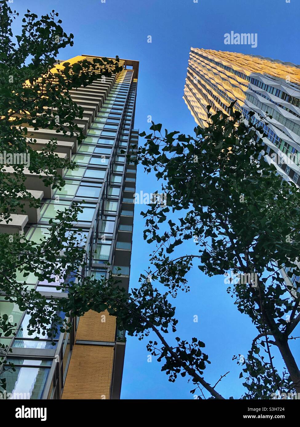 Toronto skyscrapers. - Smartphone Captured Stock Image