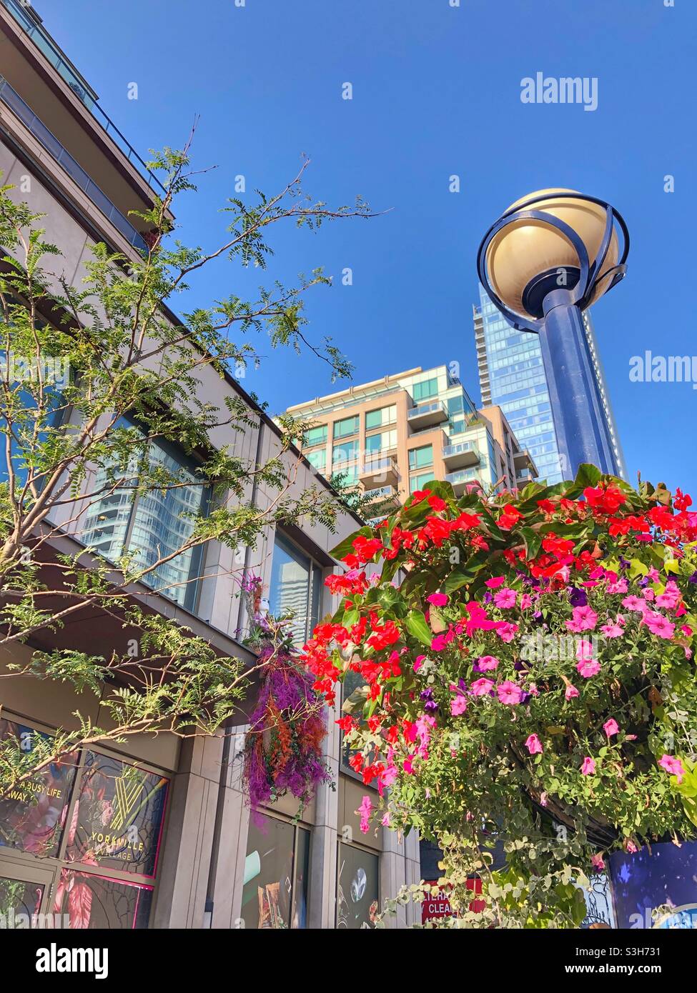 Yorkville, a Toronto downtown neighbourhood on a sunny summer day. - Smartphone Captured Stock Image